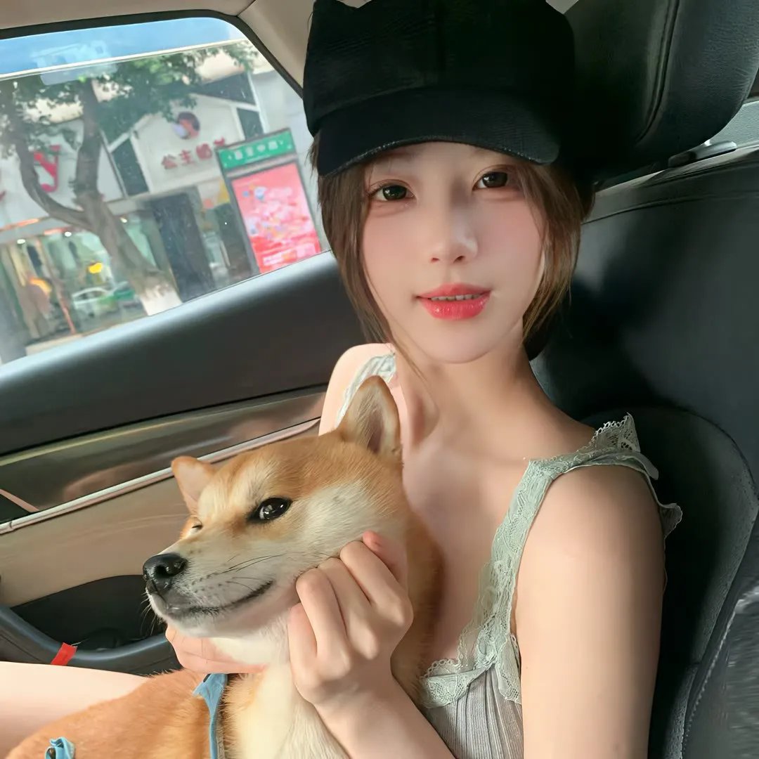 情证 在线观看封面